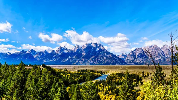 Los Picos Grand Tetons Detrás Del Serpenteante Río Snake Vistos —  Fotos de Stock