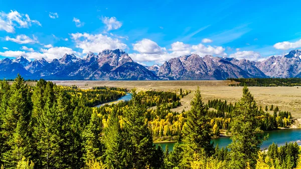 Los Picos Grand Tetons Detrás Del Serpenteante Río Snake Vistos —  Fotos de Stock