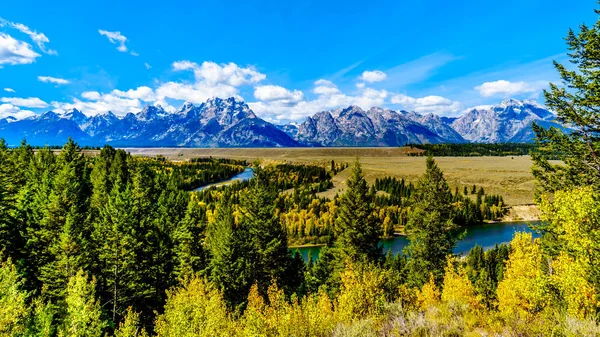 Los Picos Grand Tetons Detrás Del Serpenteante Río Snake Vistos —  Fotos de Stock