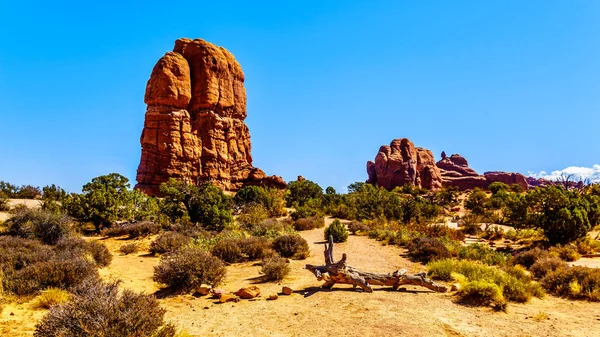 Tall Fragile Sandstone Rock Pinnacles Arches Scenic Drive Desert Landscape — Stock Photo, Image