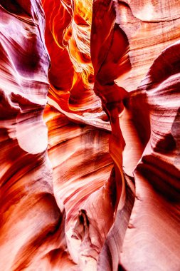 Dağ Koyun Kanyonu 'ndaki su erozyonundan kaynaklanan pürüzsüz kıvrımlı kırmızı kumtaşı duvarlar. Dağ Koyun Kanyonu, Amerika Birleşik Devletleri 'nin Arizona sayfasındaki Navajo topraklarındaki en ünlü Slot Kanyonlarından biridir.