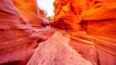 Dağ Koyun Kanyonu 'ndaki su erozyonundan kaynaklanan pürüzsüz kıvrımlı kırmızı kumtaşı duvarlar. Dağ Koyun Kanyonu, Amerika Birleşik Devletleri 'nin Arizona sayfasındaki Navajo topraklarındaki en ünlü Slot Kanyonlarından biridir.