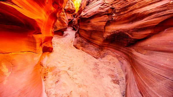Gladde Gebogen Red Sandstone Muren Veroorzaakt Door Watererosie Mountain Sheep — Stockfoto