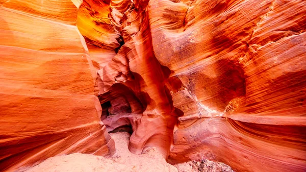 Gladde Gebogen Red Sandstone Muren Veroorzaakt Door Watererosie Mountain Sheep — Stockfoto