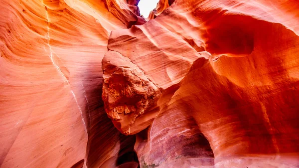 Gladde Gebogen Red Sandstone Muren Veroorzaakt Door Watererosie Mountain Sheep — Stockfoto
