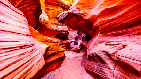 山の羊キャニオンの水の浸食によって引き起こされる滑らかな湾曲した赤砂岩の壁 マウンテン シープ キャニオン Mountain Sheep Canyon アメリカ合衆国アリゾナ州ページ近くのナバホ州の有名なスロット キャニオンの1つである — ストック写真
