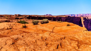 Amerika Birleşik Devletleri, Arizona, Page yakınlarındaki Colorado Nehri 'nin ünlü Horseshoe Bend' indeki çöl manzarası.