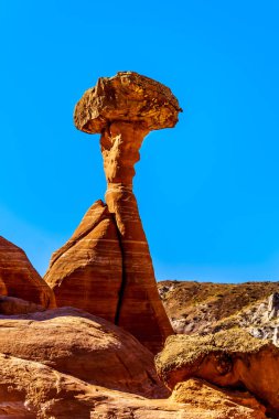 Utah, Birleşik Devletler 'deki Büyük Merdiven Escalante Anıtı' ndaki Toadstools Serserileri