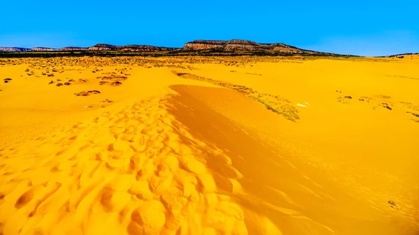 Wędrówka Szczyt Jednego Wydm Coral Pink Sand Dunes State Park — Zdjęcie stockowe