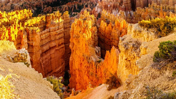 Vermilion Colored Hoodoos Sunset Point Bryce Canyon National Park Utah — Fotografia de Stock