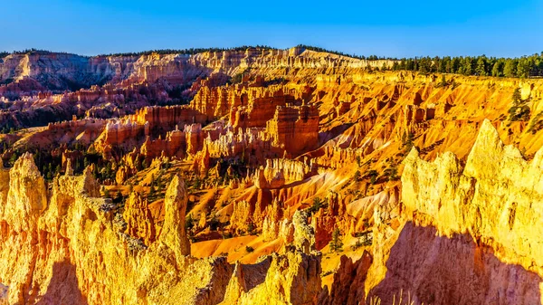 Sunrise Vermilion Colored Hoodoos Navajo Trail Bryce Canyon National Park — Stock Photo, Image