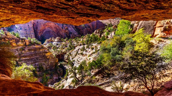 Vista Das Montanhas Arenito Uma Caverna Canyon Overlook Trail Zion — Fotografia de Stock