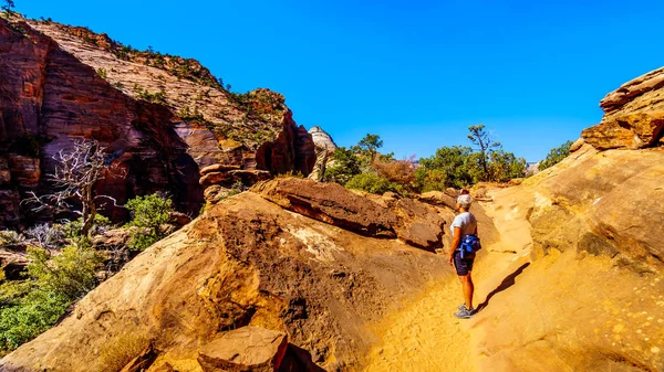 Active Senior Woman Hiking Canyon Overlook Trail Zion National Park — Stock Photo, Image