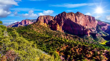 Utah, Zion Ulusal Parkı 'nın Kolob Kanyonu' ndaki Timber Top Dağı 'ndaki kırmızı kayaların üzerinde gün doğumu. Doğu Kolob Kanyon Yolu 'nun yukarısındaki Timber Creek gözcüsünden
