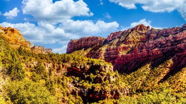 Kolob Terrace Yolu 'ndan Amerika Birleşik Devletleri' nin Utah eyaletindeki Zion Ulusal Parkı 'ndaki Kolob Platosu' nun 8000 feet yüksekliğine uzanan Kızıl Kum Taşı Dağları görüldü.