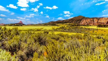 Kolob Terrace Yolu 'ndan Amerika Birleşik Devletleri' nin Utah eyaletindeki Zion Ulusal Parkı 'ndaki Kolob Platosu' nun 8000 feet yüksekliğine uzanan Kızıl Kum Taşı Dağları görüldü.