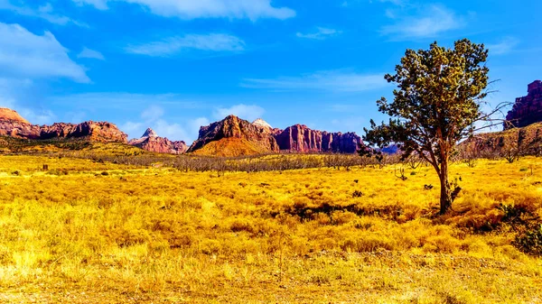 Red Sandstone Mountains Viewed Kolob Terrace Road Winds Its Way — Stock Photo, Image