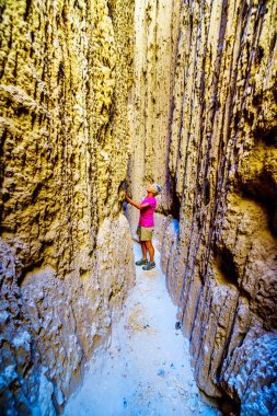 Nevada Çölü 'ndeki Katedral Korusu Eyalet Parkı' ndaki yumuşak volkanik Bentonit Clay 'in erozyonundan kaynaklanan Slot Kanyonları ve Hoodoos' un dramatik ve benzersiz desenleri.