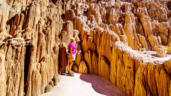 Nevada Çölü 'ndeki Katedral Korusu Eyalet Parkı' ndaki yumuşak volkanik Bentonit Clay 'in erozyonundan kaynaklanan Slot Kanyonları ve Hoodoos' un dramatik ve benzersiz desenleri.