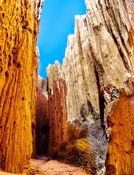 Nevada Çölü 'ndeki Katedral Korusu Eyalet Parkı' ndaki yumuşak volkanik Bentonit Clay 'in erozyonundan kaynaklanan Slot Kanyonlarının dramatik ve benzersiz desenlerinin üzerinde.