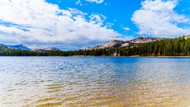 Tioga Gölü 'nün berrak buzul suyu, ABD' nin Kaliforniya eyaletindeki Yosemite Ulusal Parkı 'nın doğu kesimindeki Tioga Geçidi' nde 2938 metre yükseklikte bulunuyor.