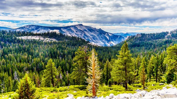 Blick Auf Die Granitberge Des Yosemite Nationalparks Vom Olmsted Point — Stockfoto