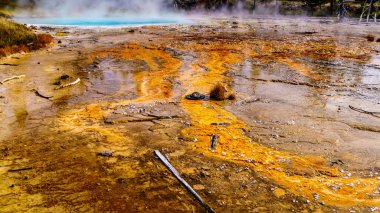 Driftwood ve bir Ranger 's Hat Silex Spring' in Bakteri Döküntüleri üzerine Yellowstone Ulusal Parkı, Wyoming, ABD 'deki Fountain Paint Pot Trail' de