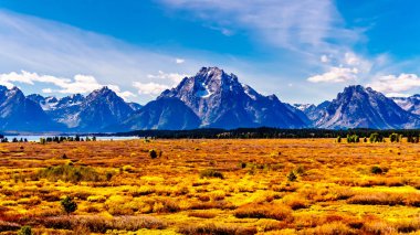 Grand Teton Ulusal Parkı 'nda Turuncu ve Sarı Sonbahar Renkleri. Moran ve çevredeki dağlar arka planda. Wyoming, Birleşik Devletler 'deki Jackson Lake Lodge' dan görüntülendi.