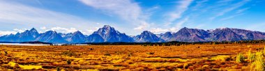 Grand Teton Ulusal Parkı 'nda Turuncu ve Sarı Sonbahar Renkleri Panorama Manzarası. Moran ve çevredeki dağlar arka planda. Wyoming, Birleşik Devletler 'deki Jackson Lake Lodge' dan görüntülendi.