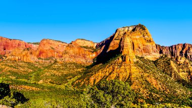 Nagunt Mesa, Shuntavi Butte ve Zion Ulusal Parkı, Utah, Birleşik Devletler 'in Kolob Kanyonu' nun diğer Kızıl Kaya Tepeleri manzarası. Doğu Kolob Kanyon Yolu 'ndaki Timber Creek Gözcüsünden