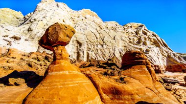 Utah, Birleşik Devletler 'deki Grand Staircase-Escalante Anıtı' ndaki renkli kumtaşı dağlarına karşı Toadstool Hoodoos