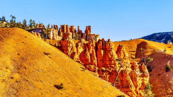 Sunrise Vermilion Colored Hoodoos Amphitheater Pinnacle Rocks Bryce Canyon National — Stock Photo, Image