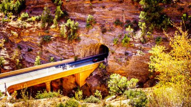 Amerika Birleşik Devletleri 'nin Utah eyaletindeki Zion Ulusal Parkı' ndaki Zion-Mount Karmel Otoyolu 'nun Dar Tüneline Doğu Girişi.