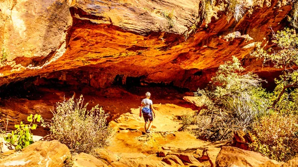 Žena Pěší Túře Jeskyní Canyon Overlook Trail Sion National Park — Stock fotografie