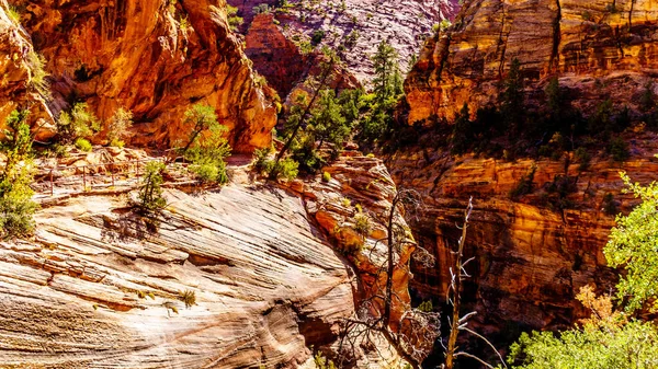 Senderismo Por Los Profundos Barrancos Sendero Canyon Overlook Trail Parque — Foto de Stock