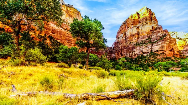 Sunset Lady Mountain Peak Mount Majestic Emerald Pool Trail Virgin — Stock Photo, Image