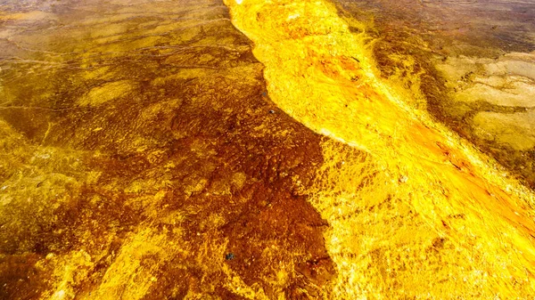 Las Coloridas Esteras Bacterianas Gran Primavera Prismática Parque Nacional Yellowstone — Foto de Stock
