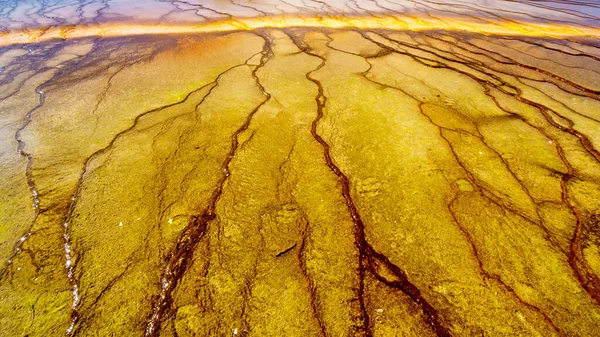 Las Coloridas Esteras Bacterianas Gran Primavera Prismática Parque Nacional Yellowstone — Foto de Stock