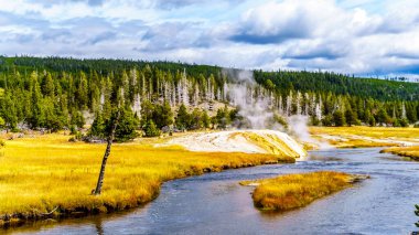 Riverside Gayzer 'dan gelen buhar, Yukarı Gayzer Havzası' ndaki Firehole Nehri üzerinde Yellowstone Ulusal Parkı 'ndaki Continental Divide Trail boyunca ilerliyor.