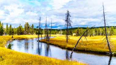 Amerika Birleşik Devletleri 'nin Wyoming eyaletindeki Yellowstone Ulusal Parkı' ndaki Continental Divide Trail boyunca uzanan Yukarı Gayzer Havzası 'ndaki Firehole Nehri.