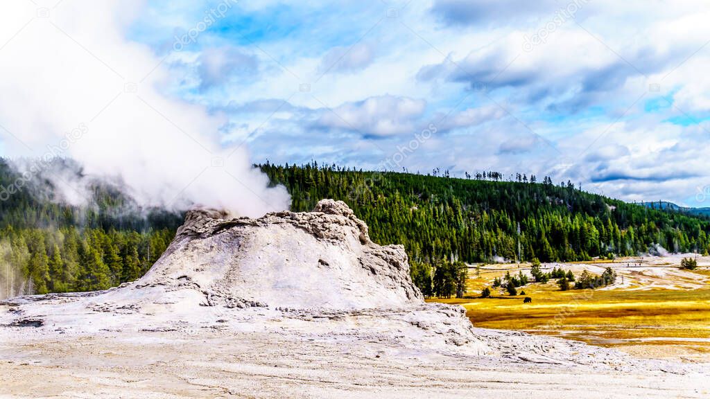 Steam coming out of the Castle Geyser in the Upper Geyser Basin along the Continental Divide Trail in Yellowstone National Park, Wyoming, United States