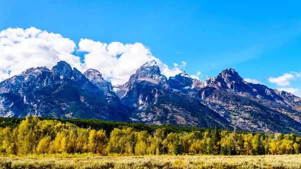 Fall Colors Tall Mountain Peaks Middle Teton Grand Teton Mount — Stock Photo, Image