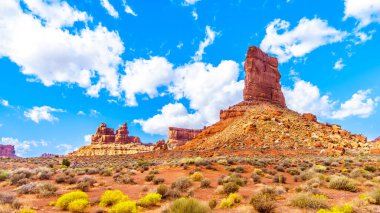 Red Sandstone Buttes ve Pinnacles, Amerika Birleşik Devletleri 'nin Utah eyaletinin Meksika Şapkası yakınlarındaki Tanrılar Vadisi' ndeki yarı çöl manzarasında.
