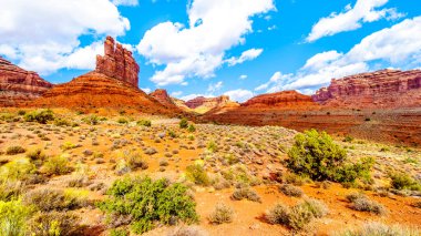 Red Sandstone Buttes ve Pinnacles, Amerika Birleşik Devletleri 'nin Utah eyaletinin Meksika Şapkası yakınlarındaki Tanrılar Vadisi' ndeki yarı çöl manzarasında.