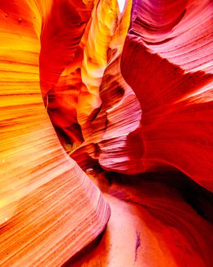 Navajo 'daki meşhur Slot Kanyonlarından biri olan Çıngıraklı Yılan Kanyonu' nun pürüzsüz kıvrımlı Kızıl Navajo Kum Taşı duvarları Amerika Birleşik Devletleri 'nin Arizona sayfasındaki topraklarına ulaştı.