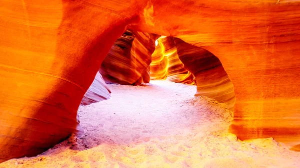 Hladké Křivolaké Písečné Stěny Red Navajo Chřestýši Kaňonu Jeden Slavných — Stock fotografie