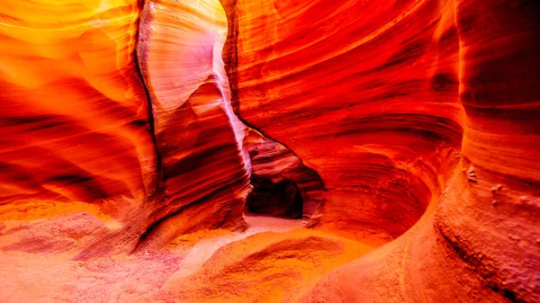 Paredes Arenito Navajo Vermelho Curvo Liso Rattlesnake Canyon Dos Famosos — Fotografia de Stock