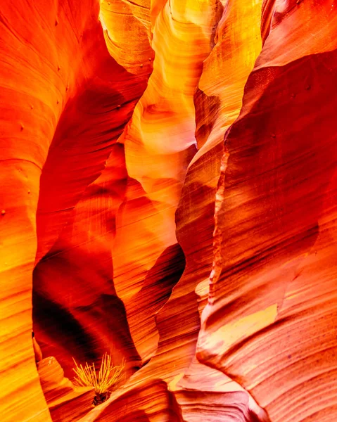 Paredes Arenito Navajo Vermelho Curvo Liso Rattlesnake Canyon Dos Famosos — Fotografia de Stock