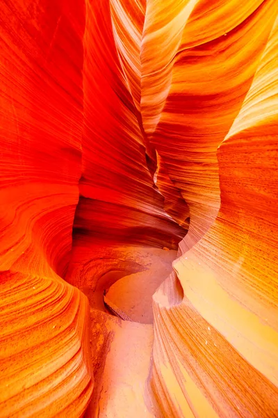 Gładkie Zakrzywione Ściany Red Navajo Sandstone Rattlesnake Canyon Jeden Słynnych — Zdjęcie stockowe