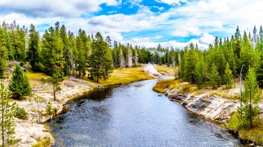 Riverside Gayzer 'den gelen sıcak suda ABD' nin Wyoming eyaletindeki Yellowstone Ulusal Parkı 'ndaki Continental Divide Patikası boyunca uzanan Yukarı Gayzer Havzası' ndaki Firehole Nehri 'ne akıyor.